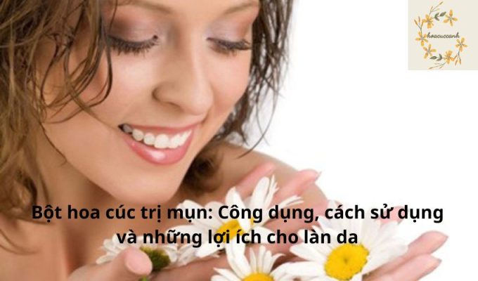 Bột hoa cúc trị mụn: Công dụng, cách sử dụng và những lợi ích cho làn da