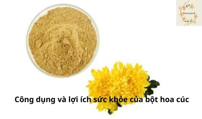 Công dụng và lợi ích sức khỏe của bột hoa cúc